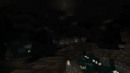 Deep Dark Biome - Ancient City