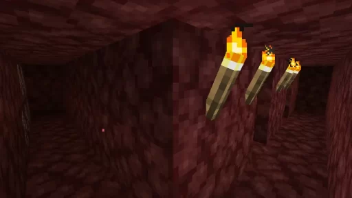 How to Find Netherite Ore While Strip Mining Screenshot