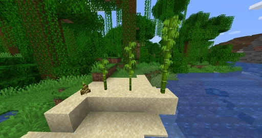 How to Find Bamboo in Minecraft: Bamboo in Jungle Screenshot