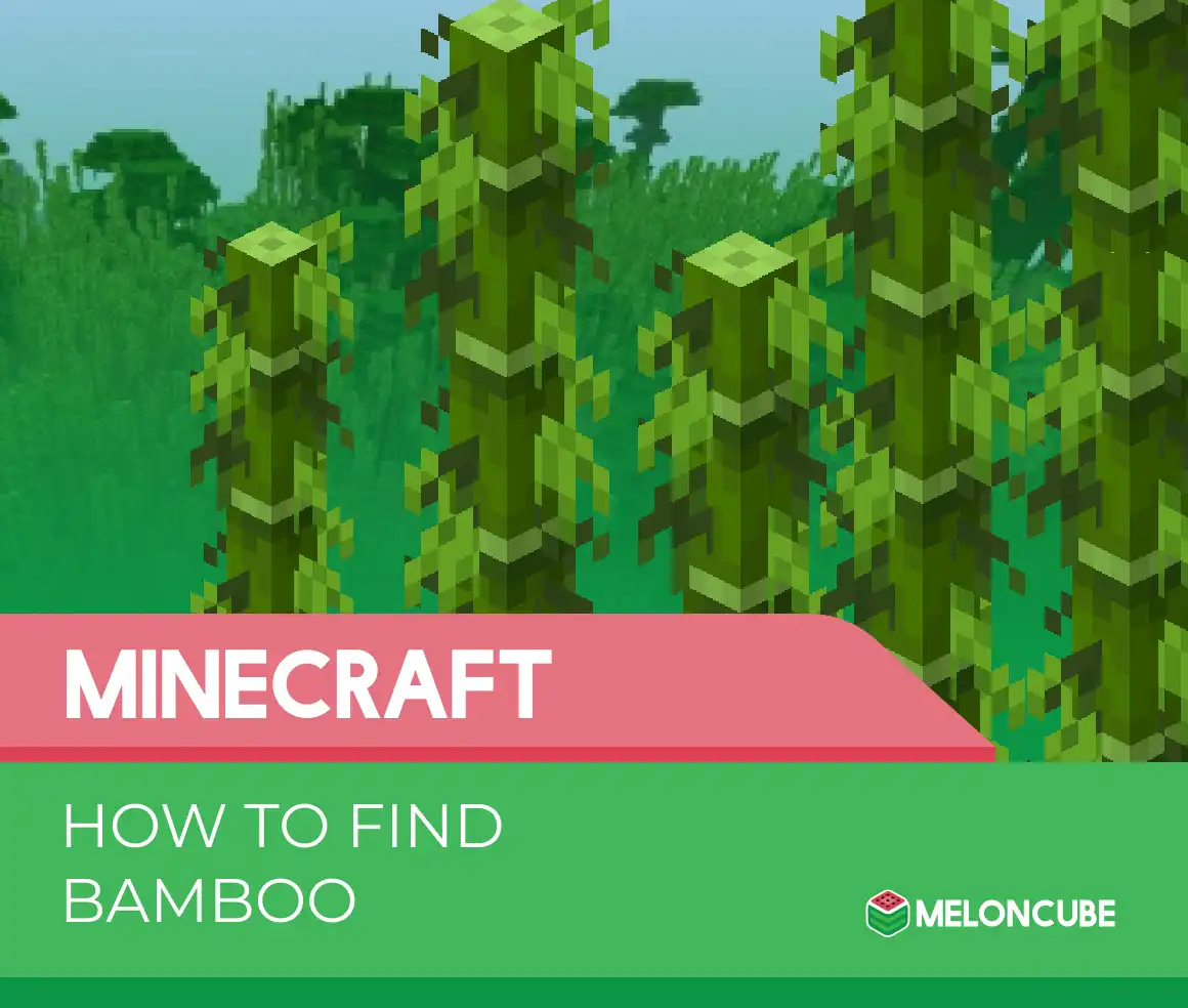 How to Find Bamboo Header Image