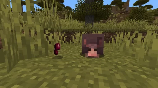 Minecraft Spider Eye and Armadillo Screenshot