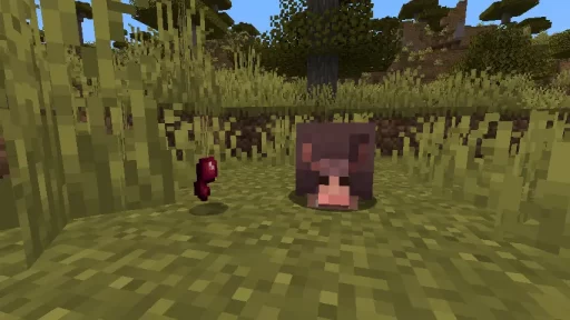 Minecraft 1.21 Armadillo Mob Screenshot